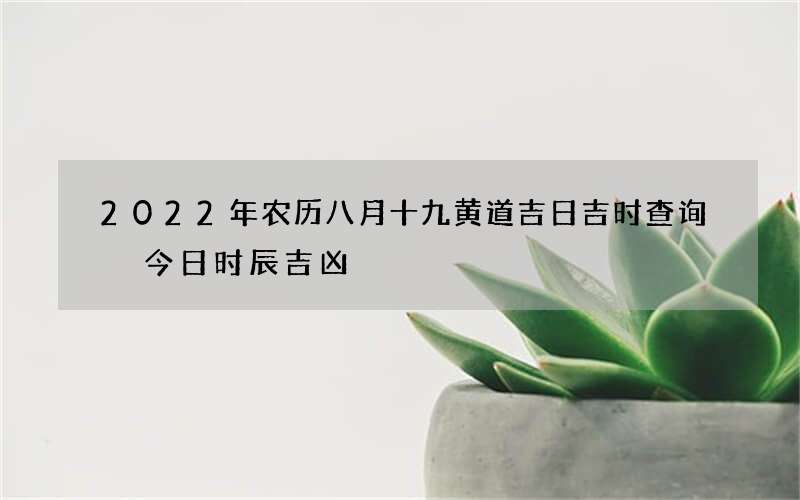 2022年农历八月十九黄道吉日吉时查询 今日时辰吉凶